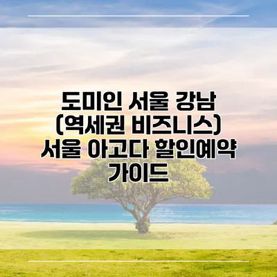도미인 서울 강남 (역세권 비즈니스) 서울 아고다 할인예약 가이드