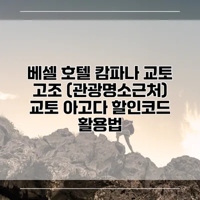 베셀 호텔 캄파나 교토 고조 (관광명소근처) 교토 아고다 할인코드 활용법