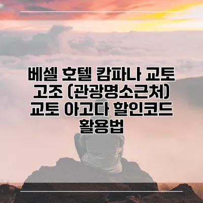베셀 호텔 캄파나 교토 고조 (관광명소근처) 교토 아고다 할인코드 활용법