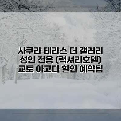 사쿠라 테라스 더 갤러리 성인 전용 (럭셔리호텔) 교토 아고다 할인 예약팁