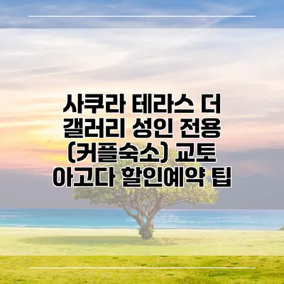 사쿠라 테라스 더 갤러리 성인 전용 (커플숙소) 교토 아고다 할인예약 팁