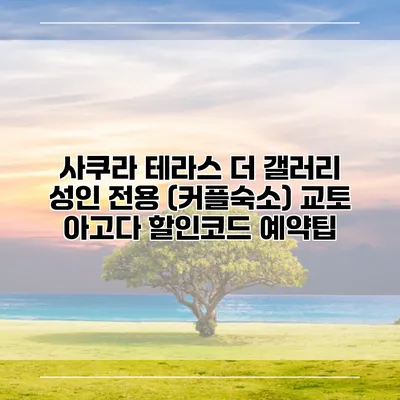 사쿠라 테라스 더 갤러리 성인 전용 (커플숙소) 교토 아고다 할인코드 예약팁