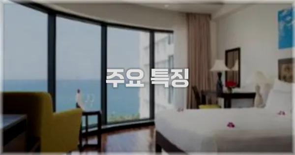 ✨ 주요 특징