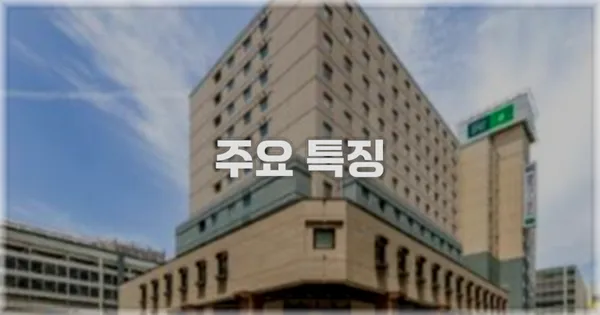 ✨ 주요 특징