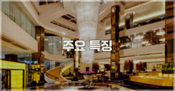 ✨ 주요 특징