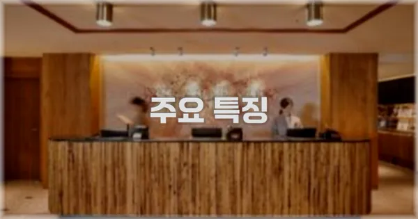✨ 주요 특징