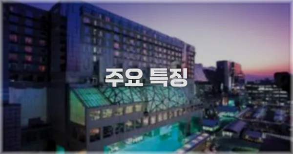 ✨ 주요 특징