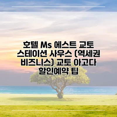 호텔 Ms 에스트 교토 스테이션 사우스 (역세권 비즈니스) 교토 아고다 할인예약 팁