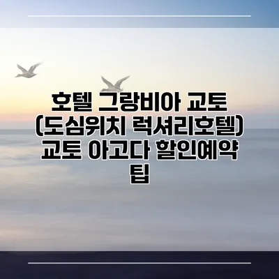 호텔 그랑비아 교토 (도심위치 럭셔리호텔) 교토 아고다 할인예약 팁