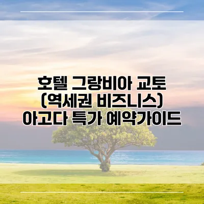 호텔 그랑비아 교토 (역세권 비즈니스) 아고다 특가 예약가이드