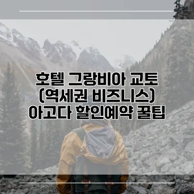 호텔 그랑비아 교토 (역세권 비즈니스) 아고다 할인예약 꿀팁
