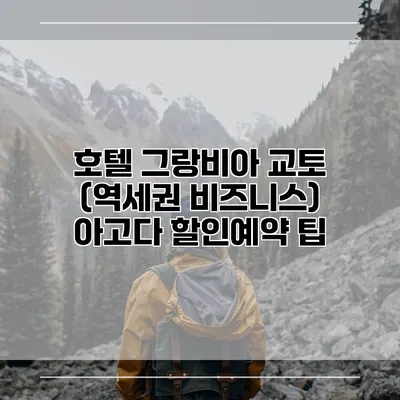 호텔 그랑비아 교토 (역세권 비즈니스) 아고다 할인예약 팁