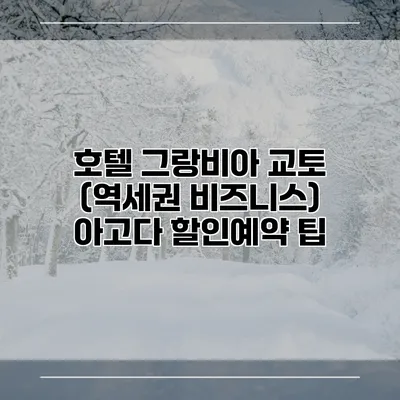 호텔 그랑비아 교토 (역세권 비즈니스) 아고다 할인예약 팁