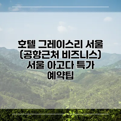 호텔 그레이스리 서울 (공항근처 비즈니스) 서울 아고다 특가 예약팁