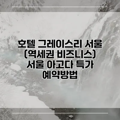 호텔 그레이스리 서울 (역세권 비즈니스) 서울 아고다 특가 예약방법