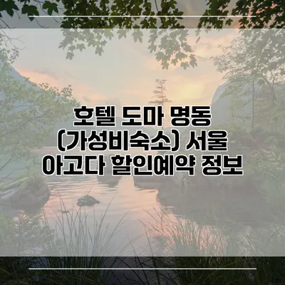 호텔 도마 명동 (가성비숙소) 서울 아고다 할인예약 정보