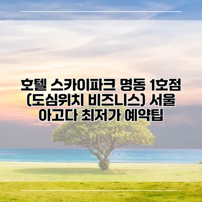 호텔 스카이파크 명동 1호점 (도심위치 비즈니스) 서울 아고다 최저가 예약팁