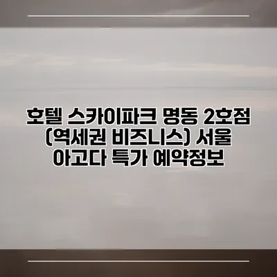 호텔 스카이파크 명동 2호점 (역세권 비즈니스) 서울 아고다 특가 예약정보