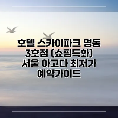 호텔 스카이파크 명동 3호점 (쇼핑특화) 서울 아고다 최저가 예약가이드