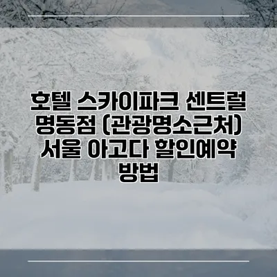 호텔 스카이파크 센트럴 명동점 (관광명소근처) 서울 아고다 할인예약 방법